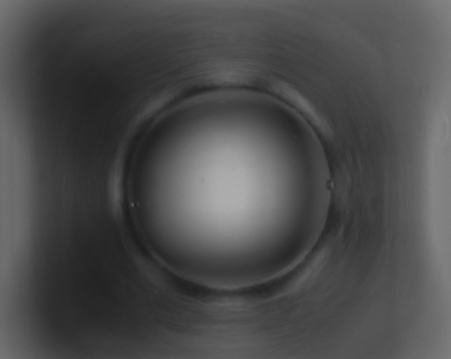 X0000101410677200807071255