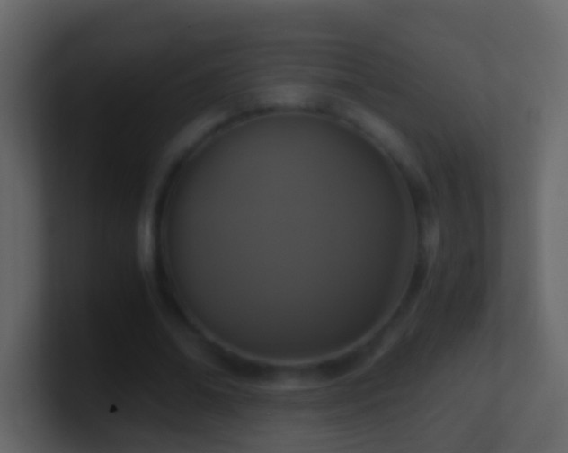X0000101410678200807071255