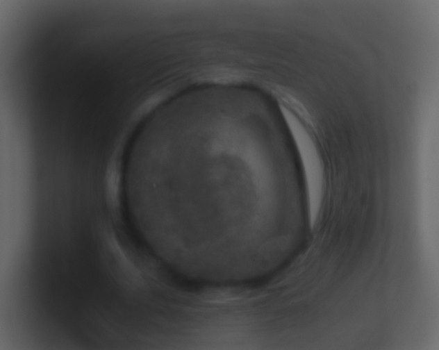 X0000101410679200807071255