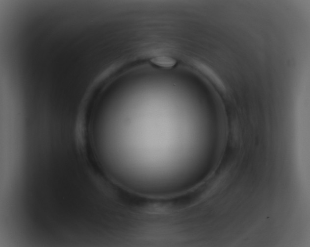X0000101410680200807071255