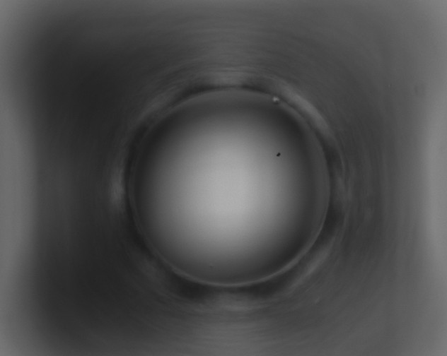 X0000101410681200807071255