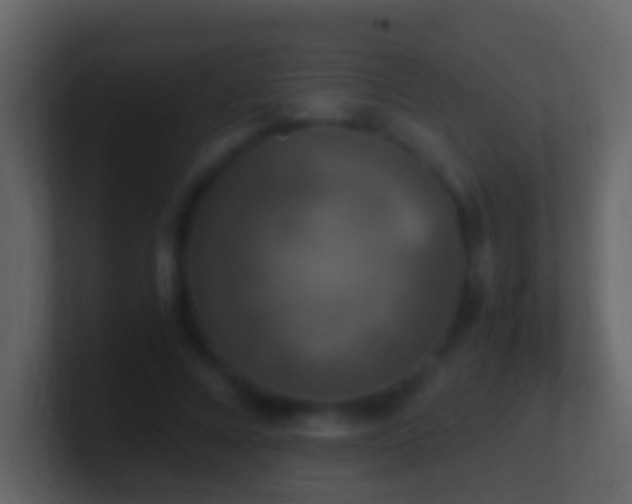 X0000101410688200807071255