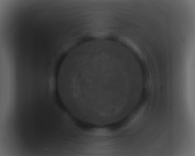 X0000101410689200807071255