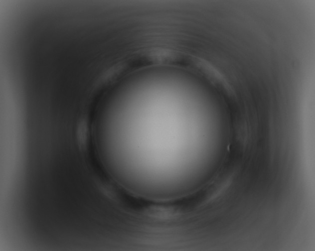 X0000101410690200807071255