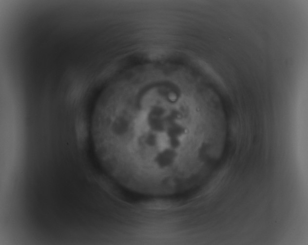 X0000101410691200807071255
