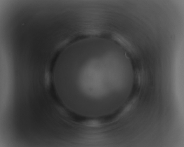 X0000101410692200807071255