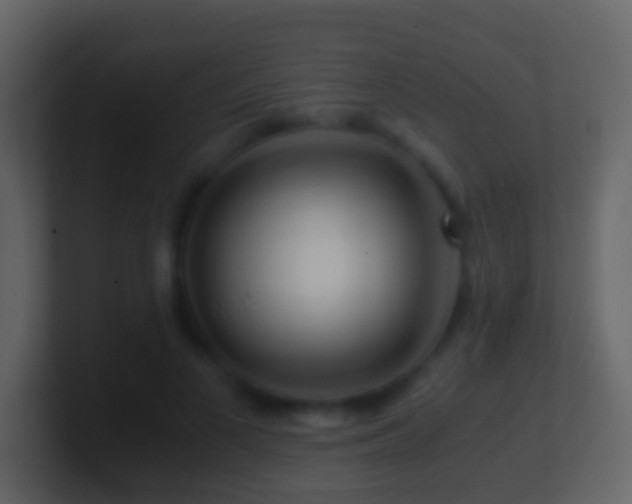 X0000101410693200807071255