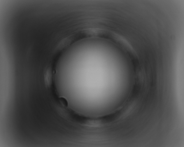 X0000101410694200807071255