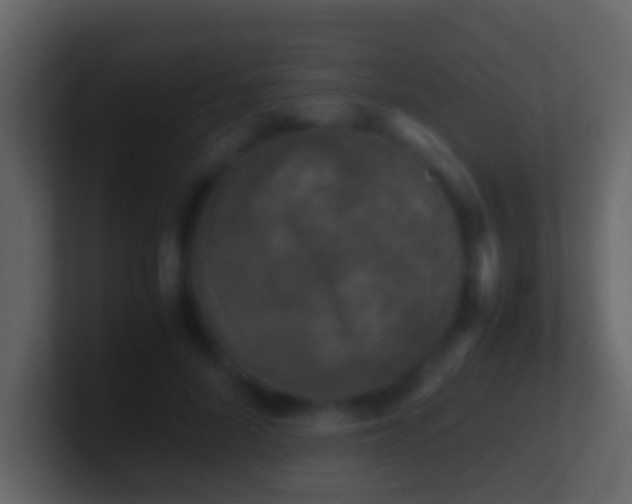 X0000101410696200807071255