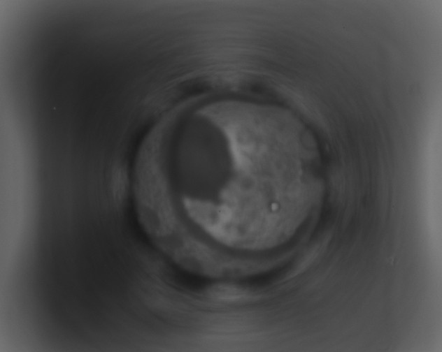 X0000101410699200807071255