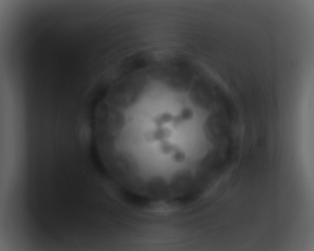 X0000101410703200807071255