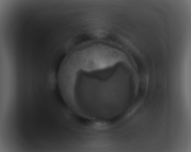 X0000101410707200807071255