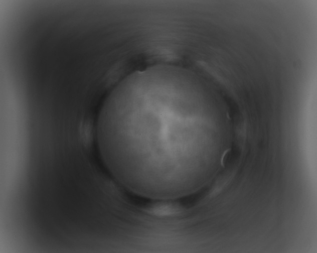 X0000101410708200807071255