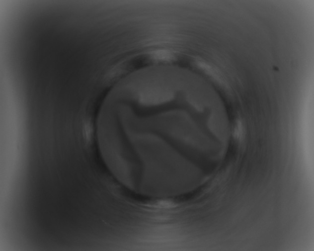 X0000101410715200807071255