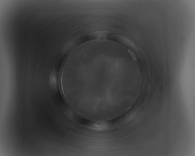 X0000101410720200807071255