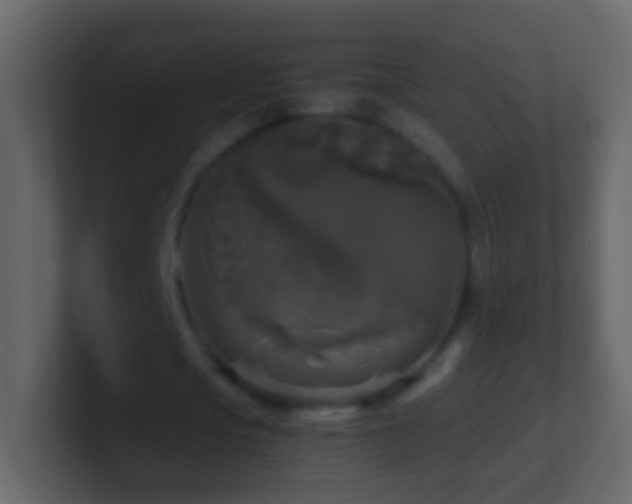 X0000101410721200807071254