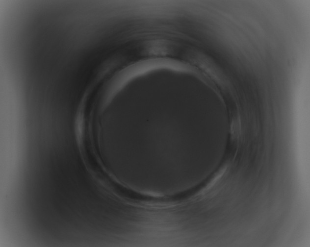 X0000101410722200807071254