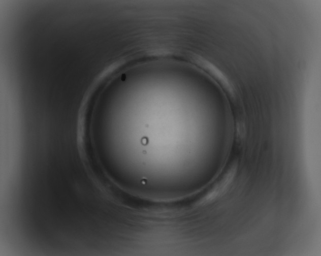 X0000101410724200807071254