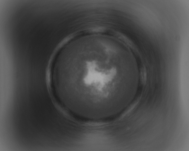 X0000101410726200807071254