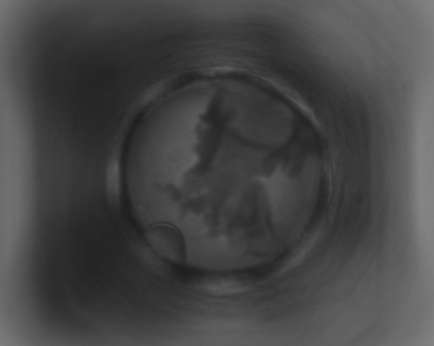 X0000101410729200807071254