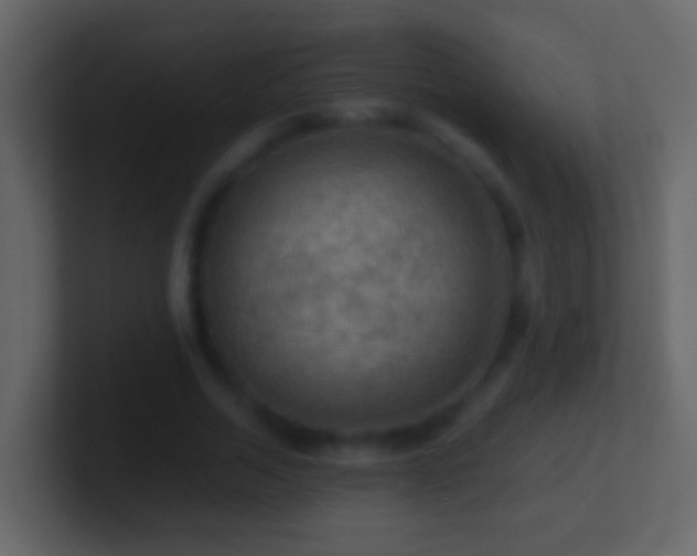 X0000101410730200807071254