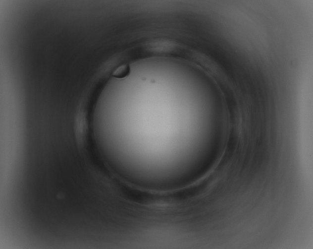 X0000101410731200807071254