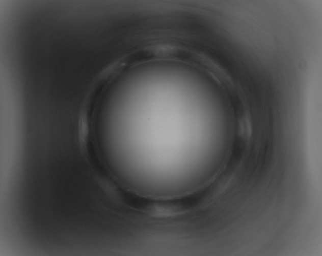 X0000101410733200807071254