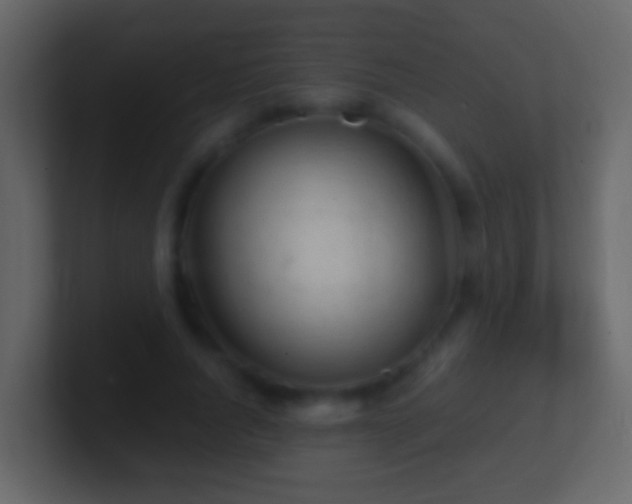 X0000101410736200807071254