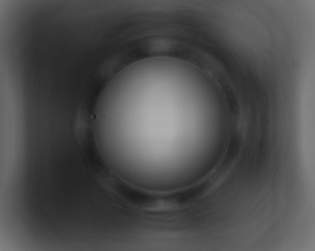 X0000101410737200807071254