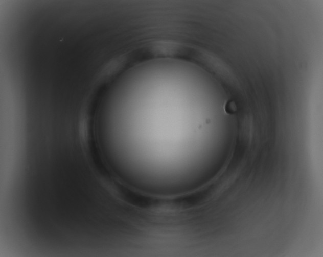 X0000101410738200807071254