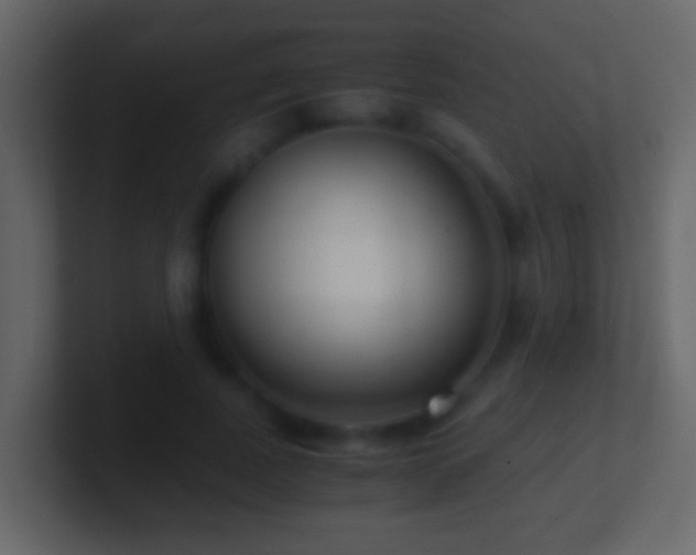X0000101410739200807071254