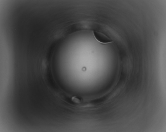 X0000101410747200807071254