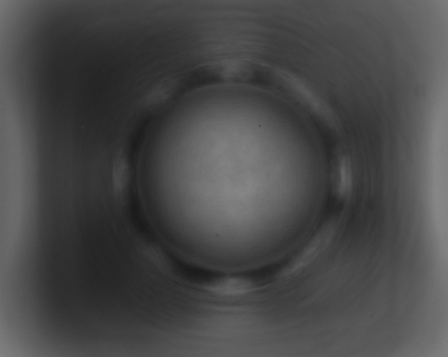 X0000101410748200807071254