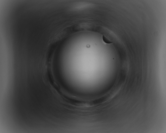 X0000101410751200807071255