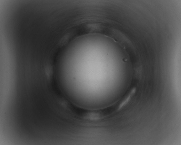 X0000101410756200807071255