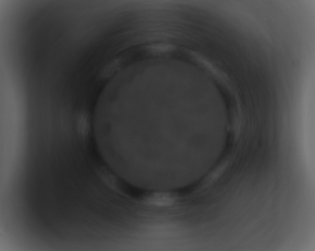X0000101410758200807071255