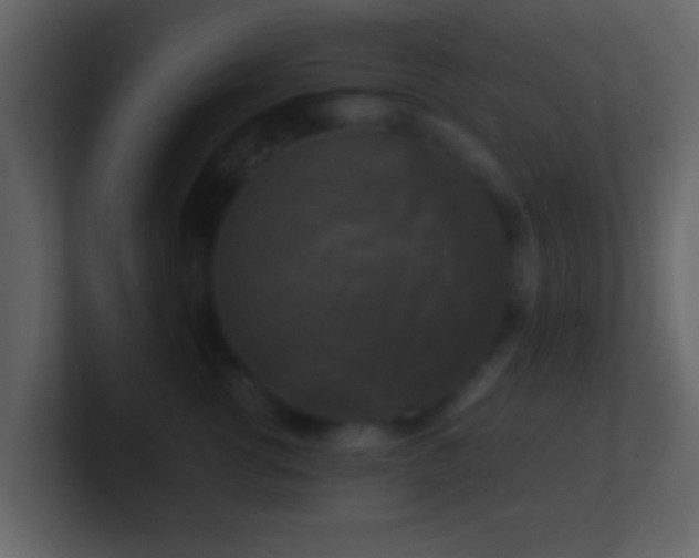 X0000101410762200807071255