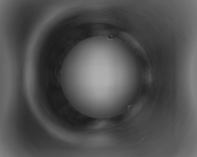 X0000101410764200807071255