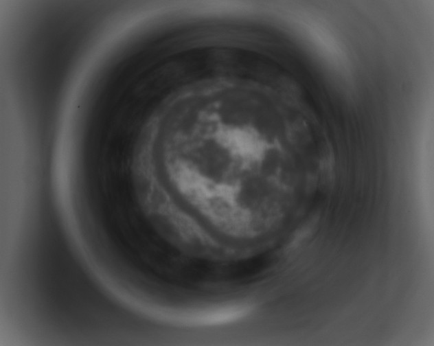 X0000101410765200807071255