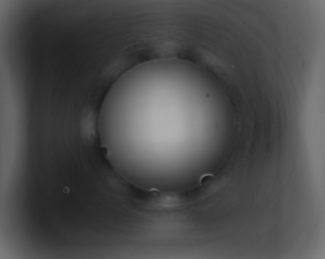 X0000101410768200807071255