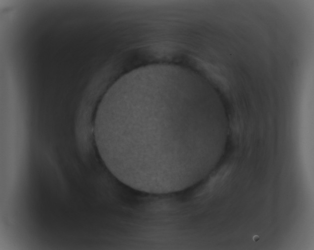 X0000101410769200807071254
