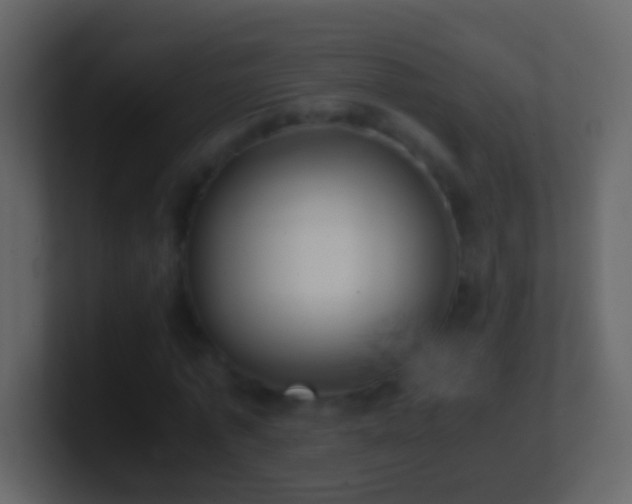 X0000101410773200807071254
