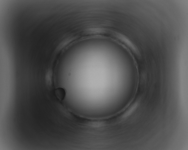 X0000101410778200807071254