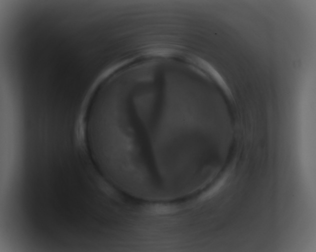 X0000101410779200807071254