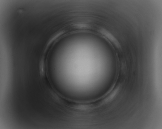 X0000101410782200807071254
