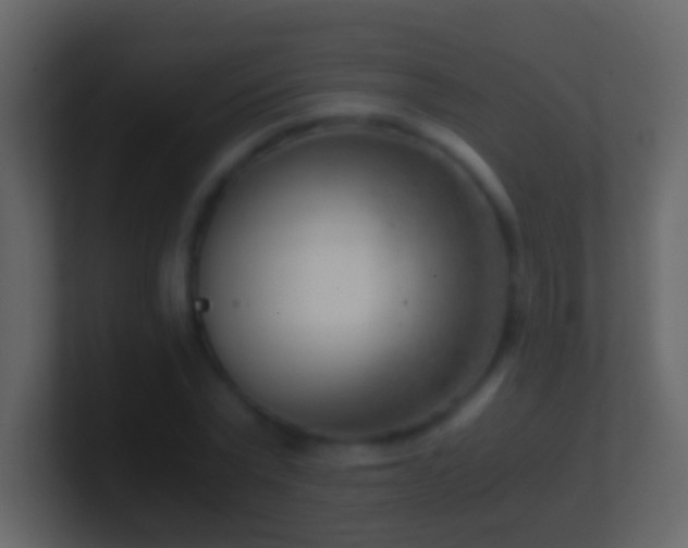 X0000101410783200807071254