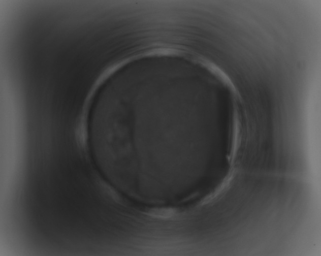X0000101410784200807071254