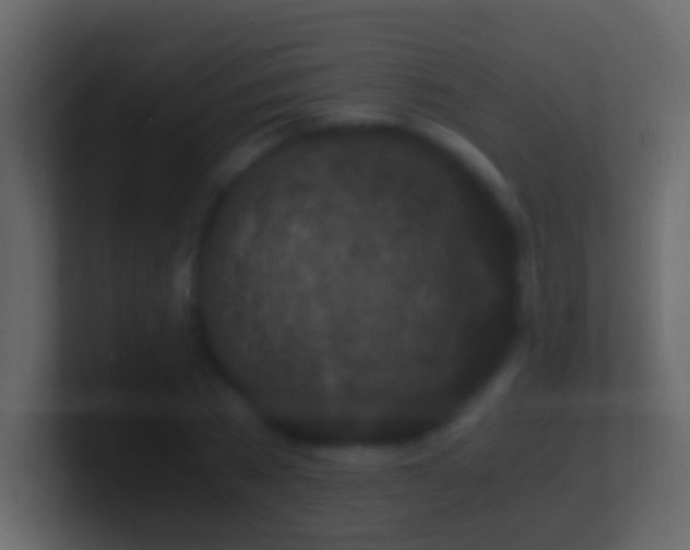 X0000101410785200807071254