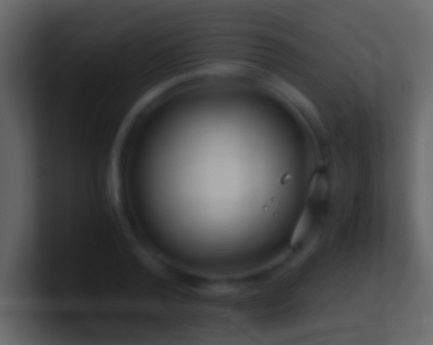 X0000101410792200807071254