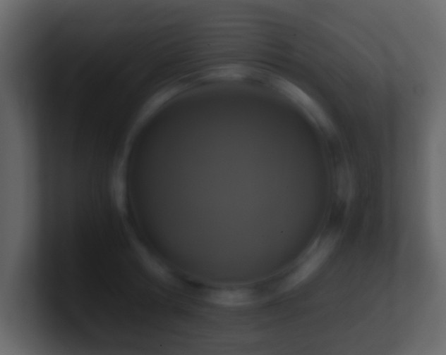 X0000101410802200807071253